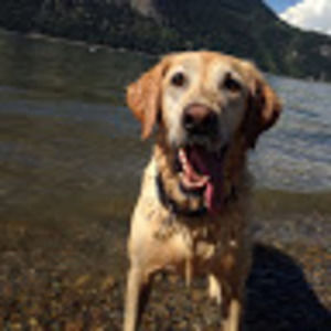 Meet your Posher, Sydney